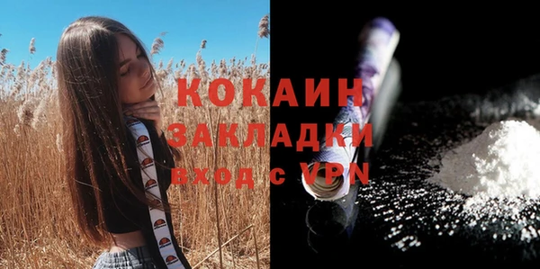мяу мяу мука Новодвинск
