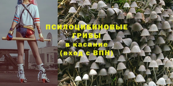 мяу мяу мука Новодвинск