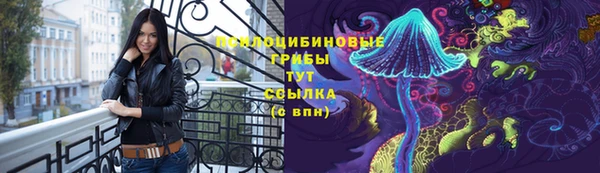 бошки Новокубанск
