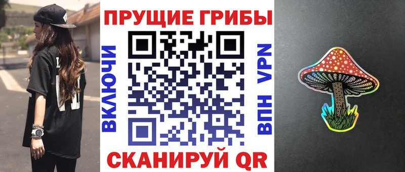 даркнет сайт  Арамиль  Псилоцибиновые грибы Psilocybe 